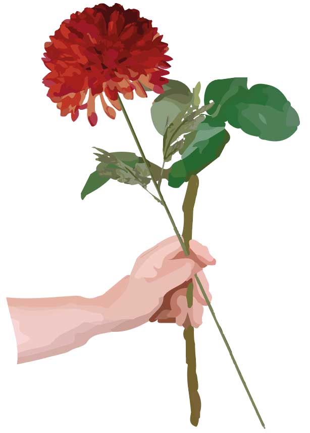 Tips til en smuk buket med blomster fra din egen have boligjournalen